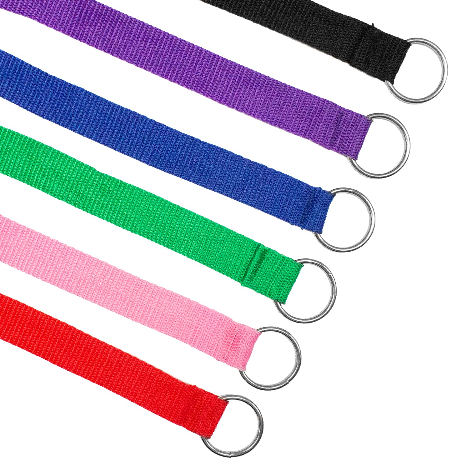 Downtown Pet Supply 12-pack slip leads displayed for convenient vet and daycare supplies