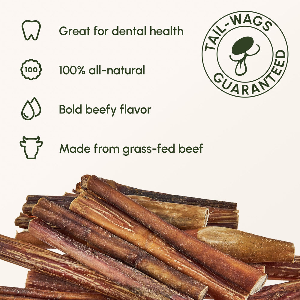 Downtown Pet Supply 48-pack bully sticks illustrate bulk value for durable chews.