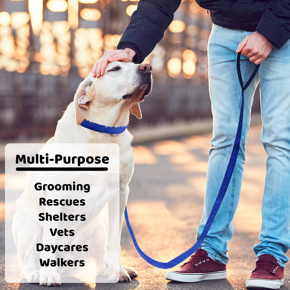 Downtown Pet Supply 6ft kennel slip lead close-up showing durable design