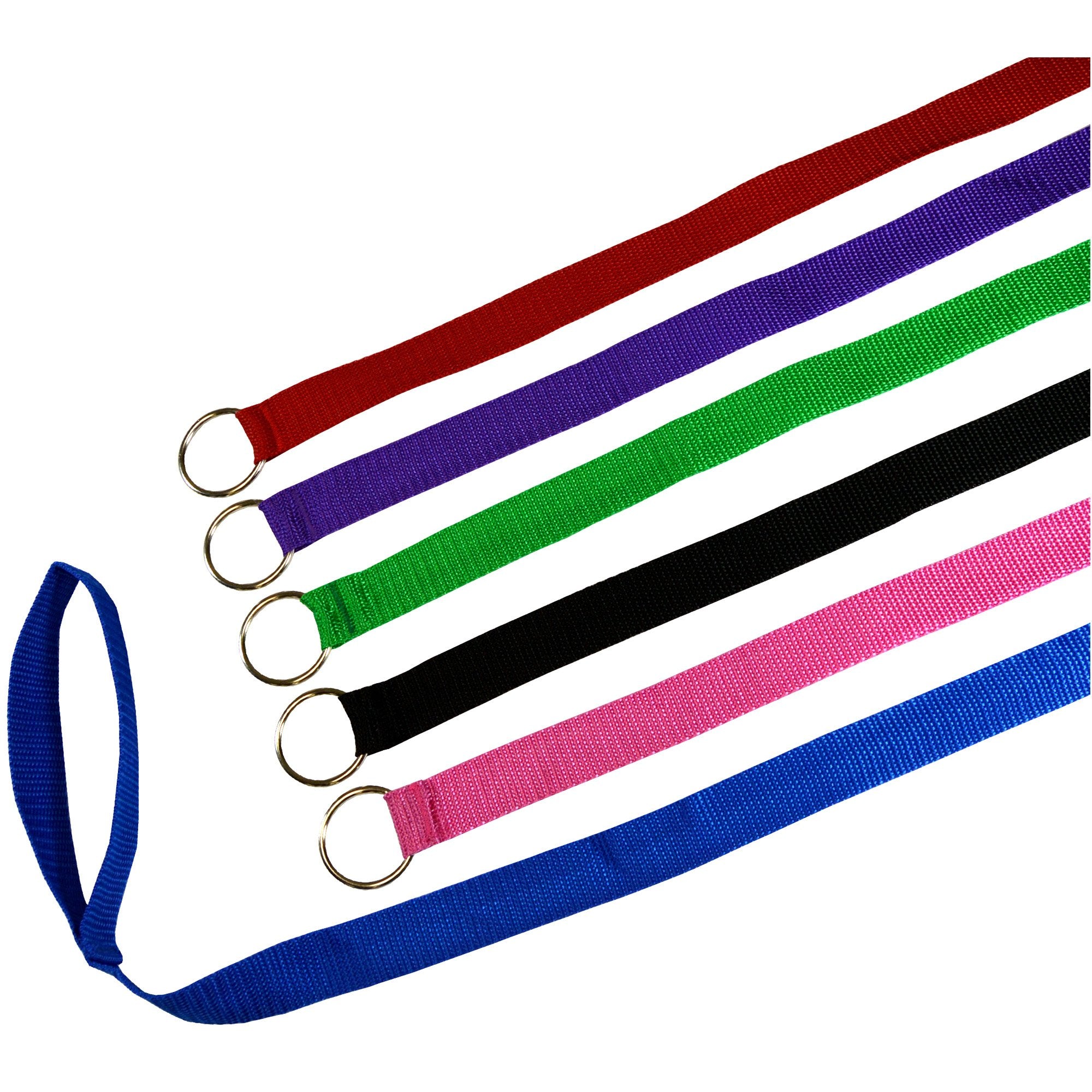 Downtown Pet Supply 6ft kennel slip lead in hand for quick secure handling during cage transitions