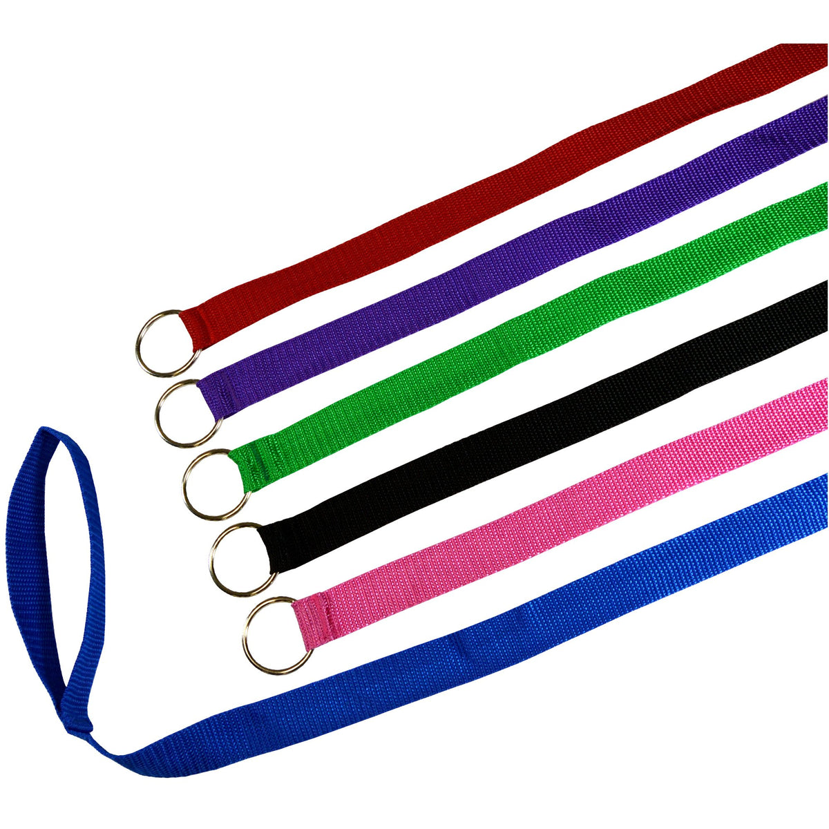Downtown Pet Supply 6ft kennel slip lead in hand for quick secure handling during cage transitions