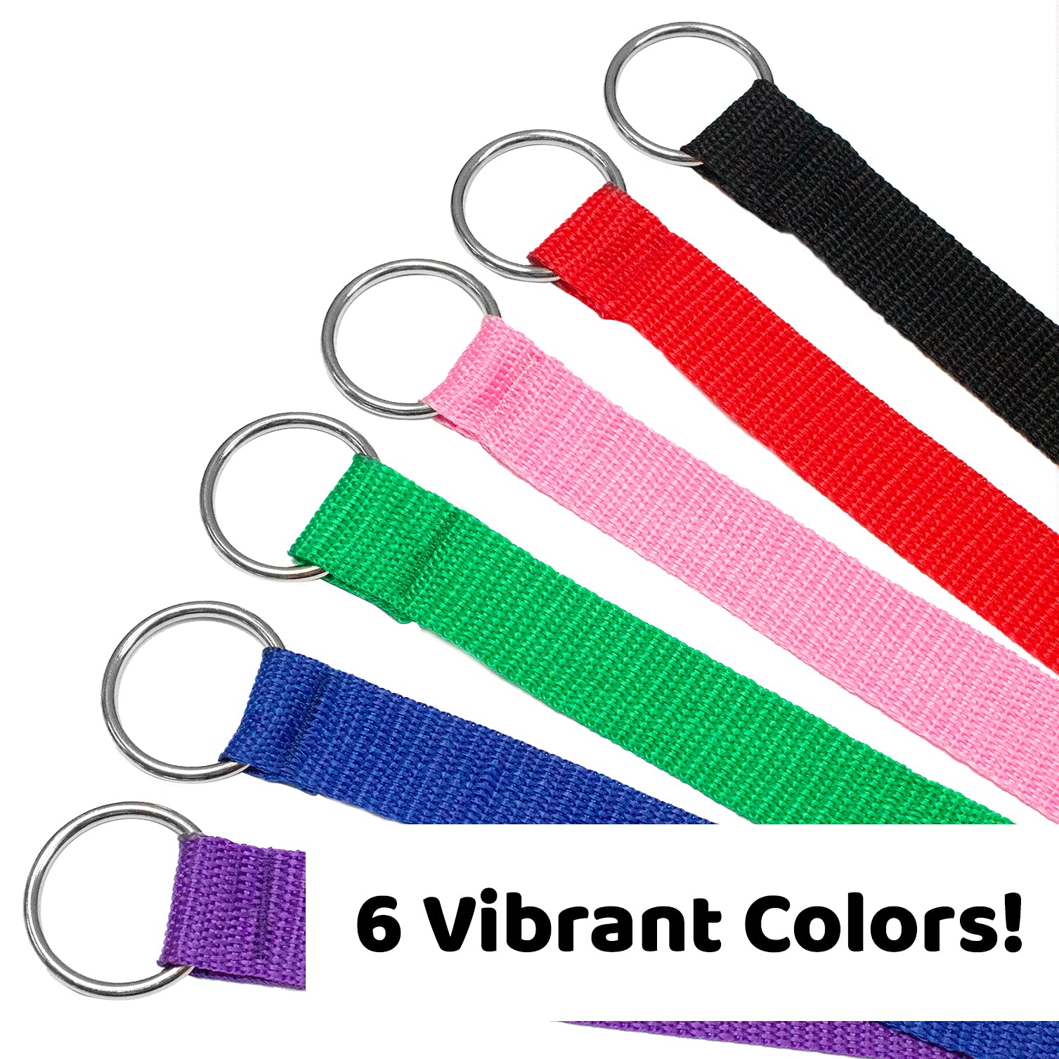 Downtown Pet Supply 6ft kennel slip lead on dog for controlled movement