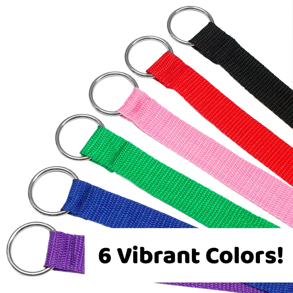 Downtown Pet Supply 6ft kennel slip lead on dog for controlled movement
