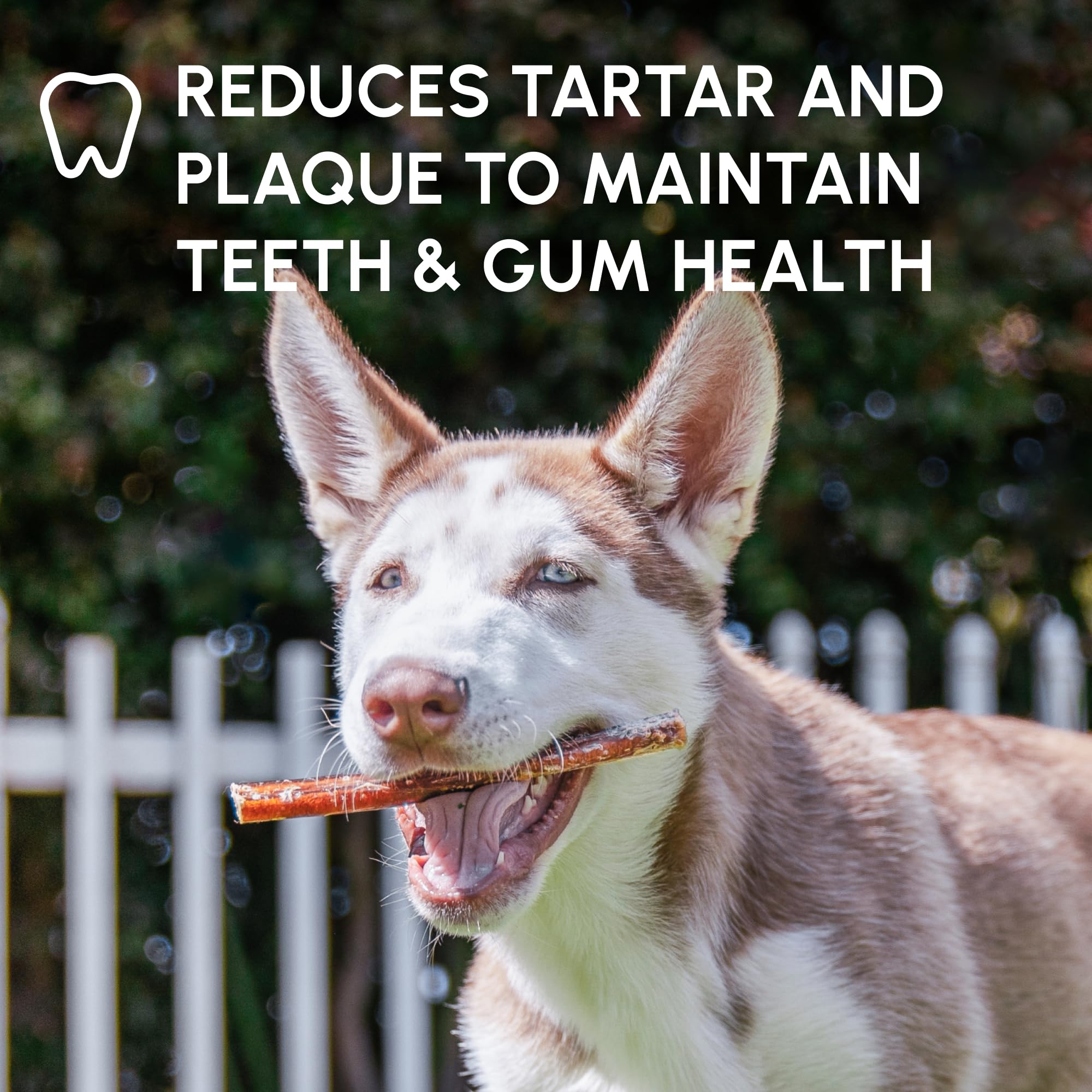 Downtown Pet Supply bully sticks 6-inch pack for long-lasting chew sessions.