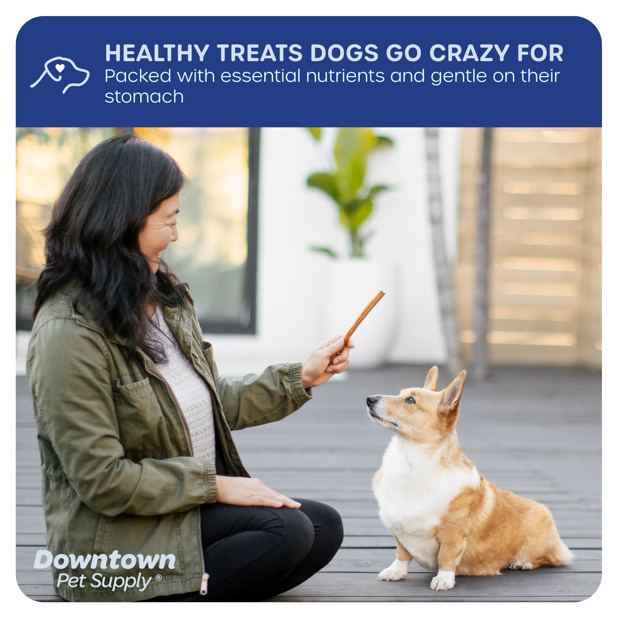 Downtown Pet Supply no-hide chew closeup illustrates safer, splinter-free dog treats.