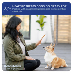 Downtown Pet Supply no-hide chew closeup illustrates safer, splinter-free dog treats.