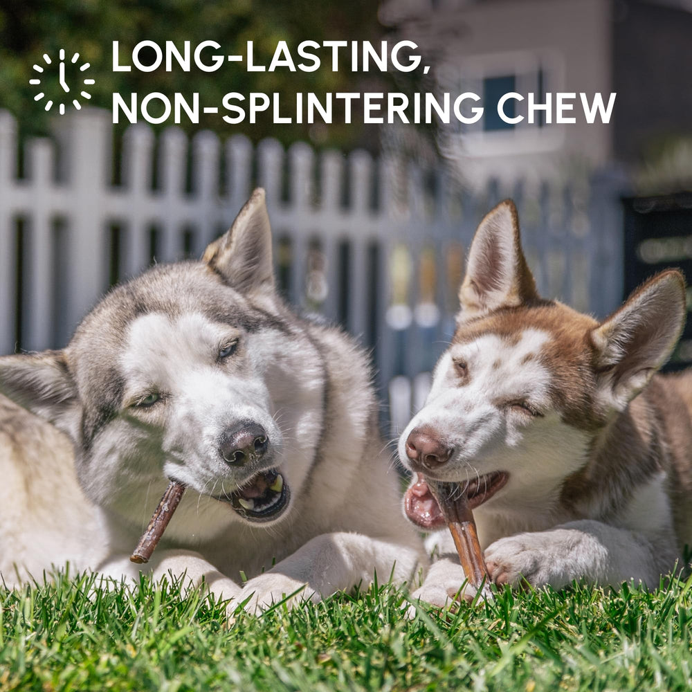 Downtown Pet Supply rawhide-free beef chews offer a natural, single-ingredient treat.