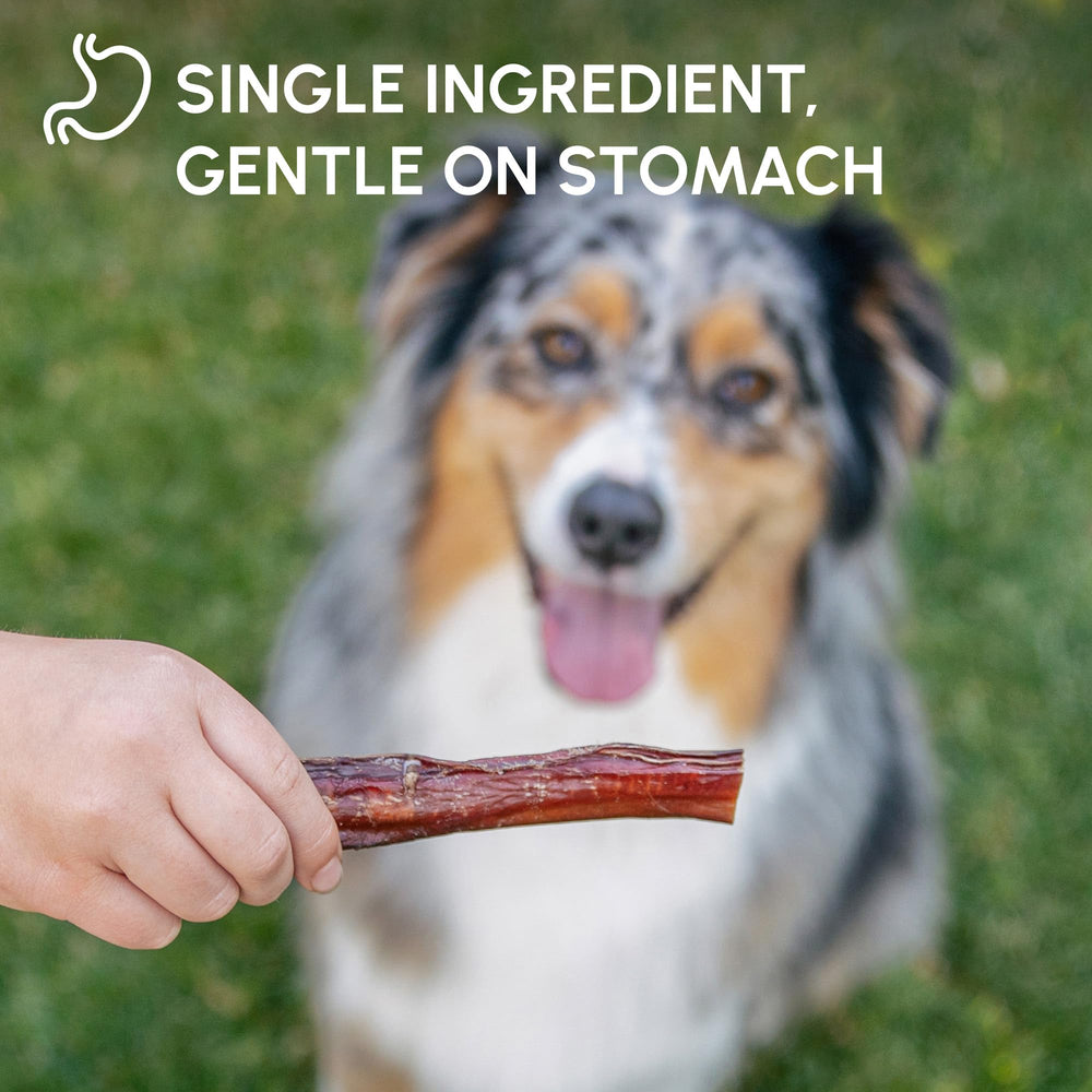 Downtown Pet Supply no-hide chews provide a clean alternative for dogs with sensitive stomachs.