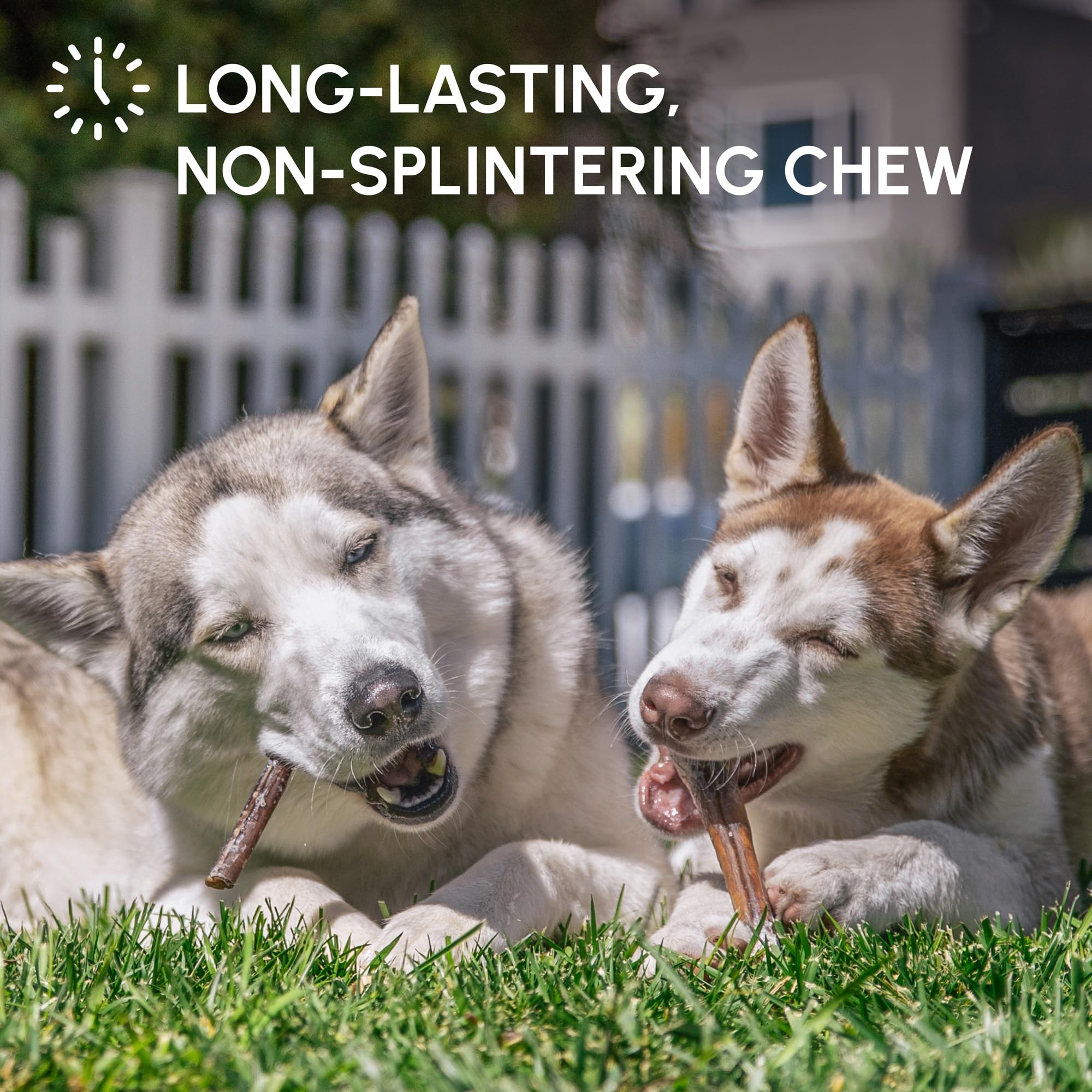Downtown Pet Supply USA-sourced chews ensure safety and traceability for dog owners.