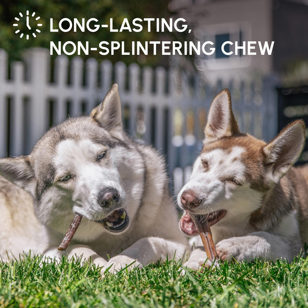 Downtown Pet Supply USA-sourced chews ensure safety and traceability for dog owners.