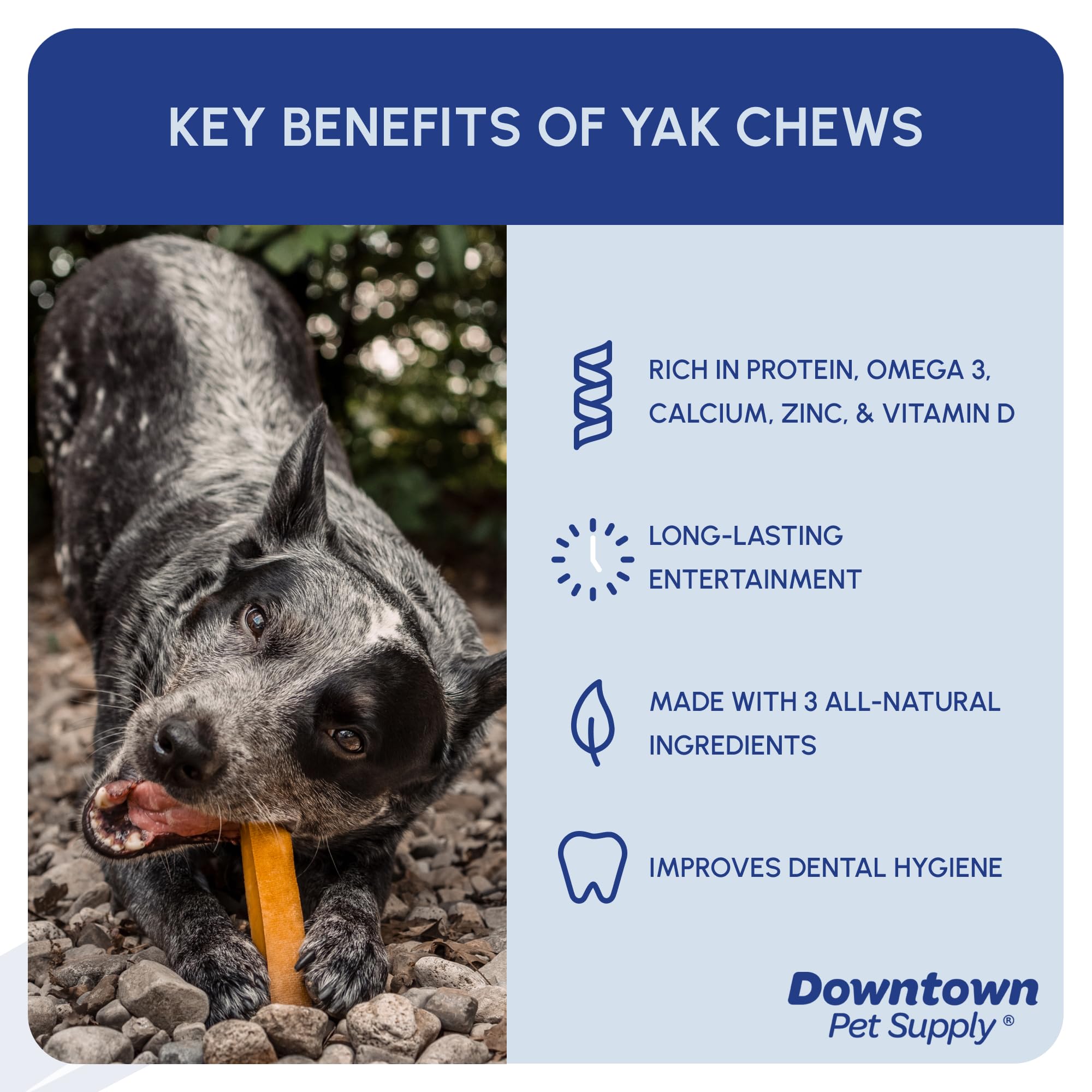Downtown Pet Supply yak chews in a dog bowl encouraging chew time and dental care