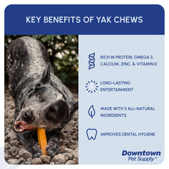 Downtown Pet Supply yak chews in a dog bowl encouraging chew time and dental care