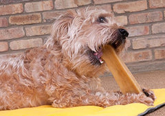 Downtown Pet Supply Yak Cheese Himalayan chews close-up reveals natural ingredients for healthier snacking