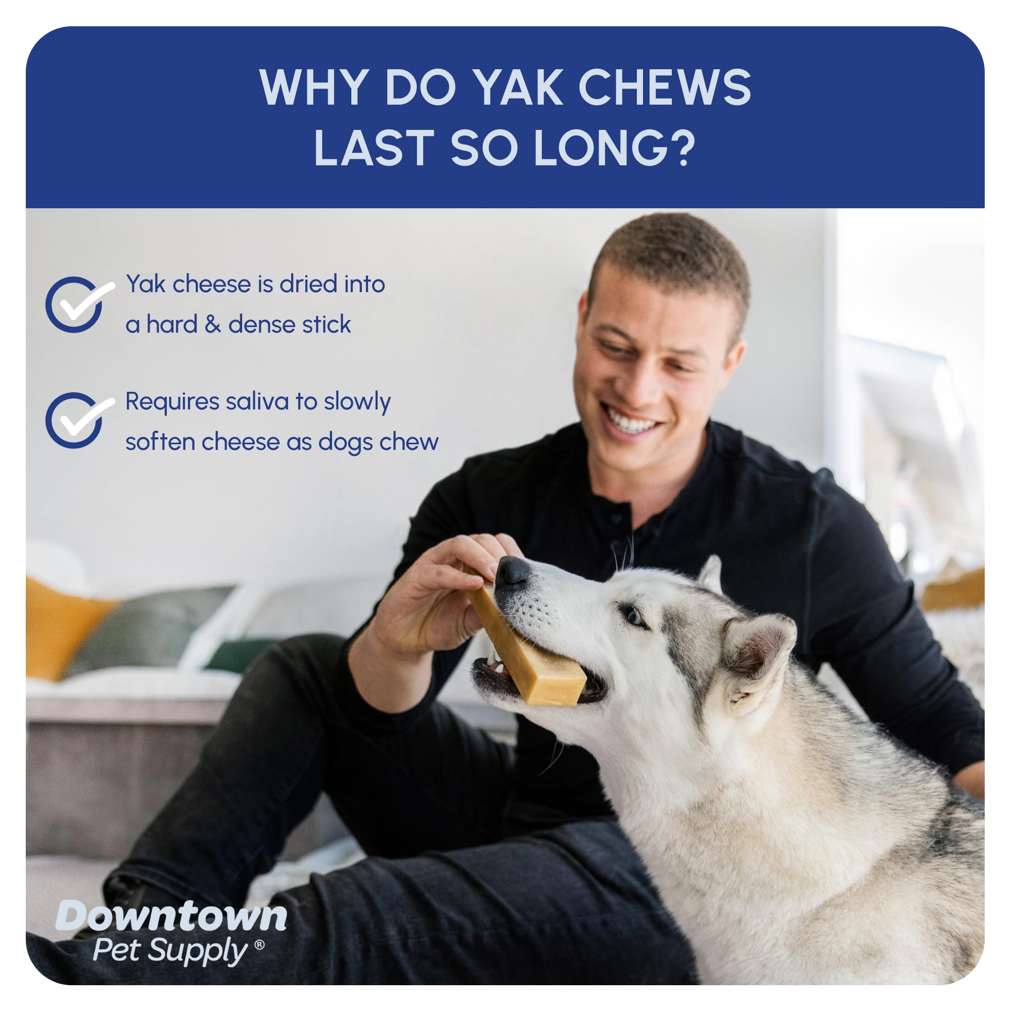 Downtown Pet Supply odorless yak chews reduce lingering smell during snacking