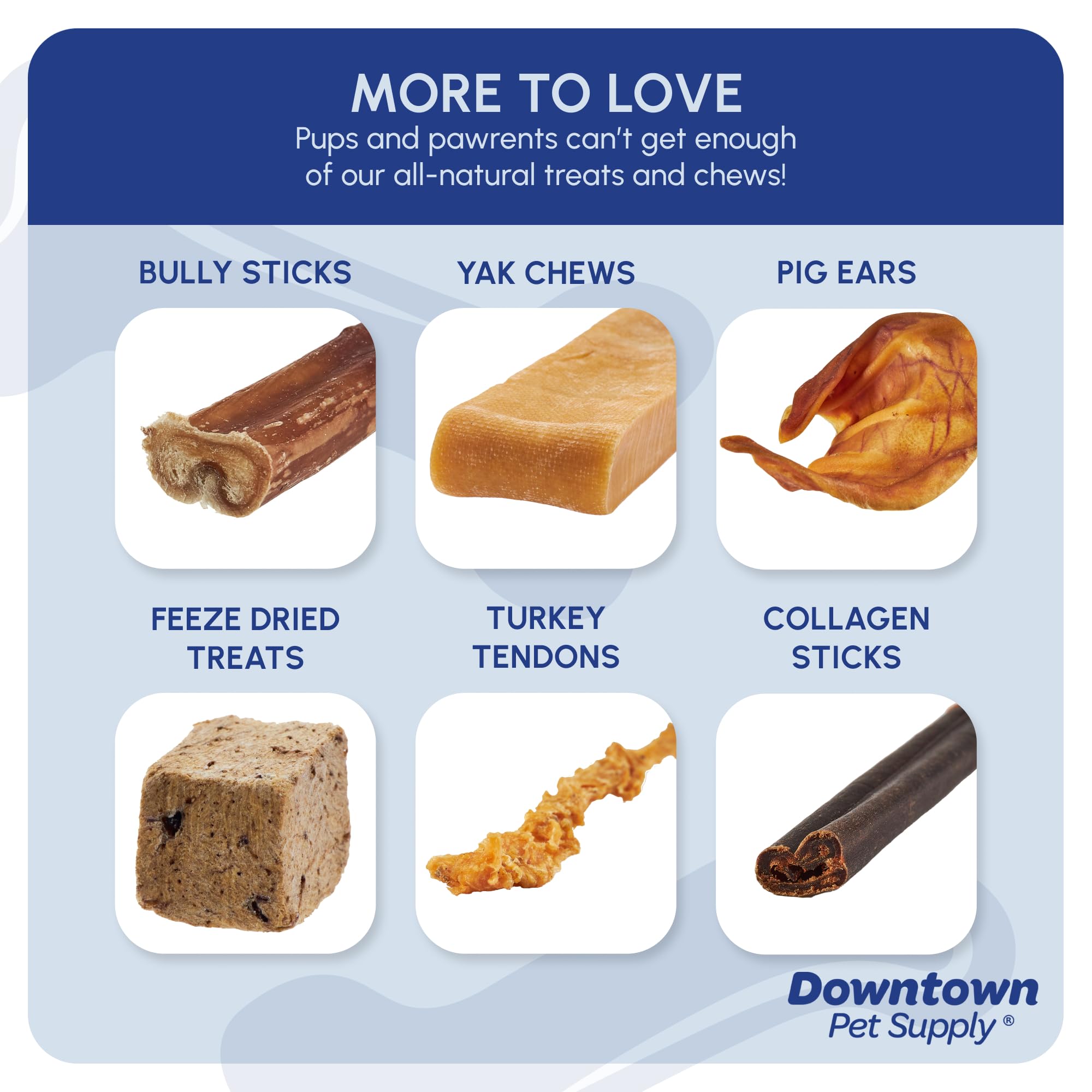 Downtown Pet Supply suitable for small to medium dogs during playtime