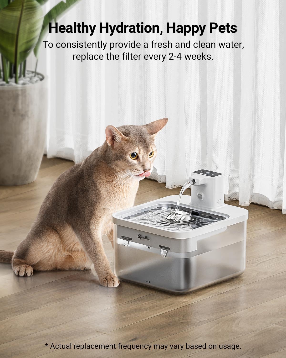 DownyPaws agua limpia DPWFP6 para sabor más agradable