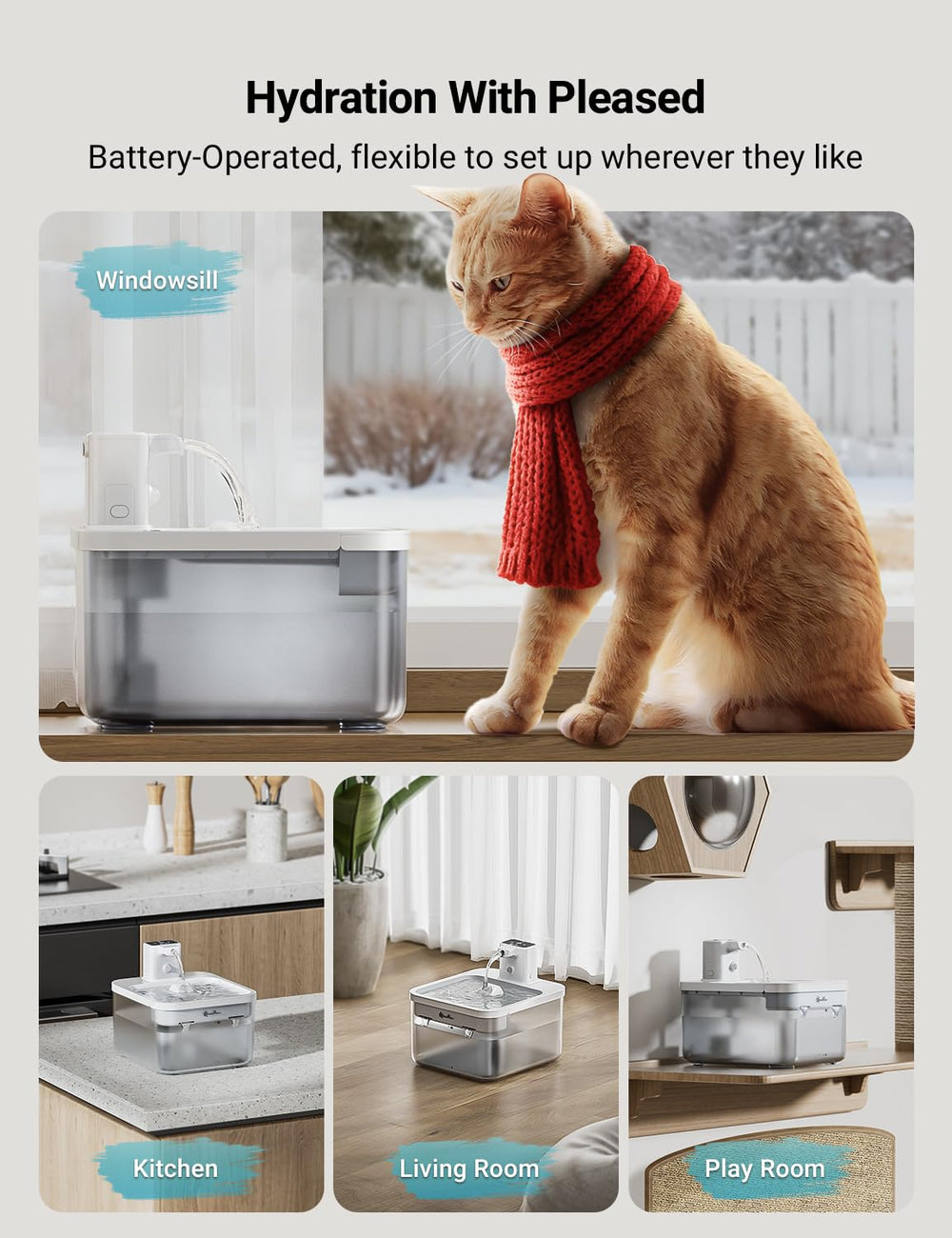 DownyPaws fountain with cordless design reducing chew risk and clutter