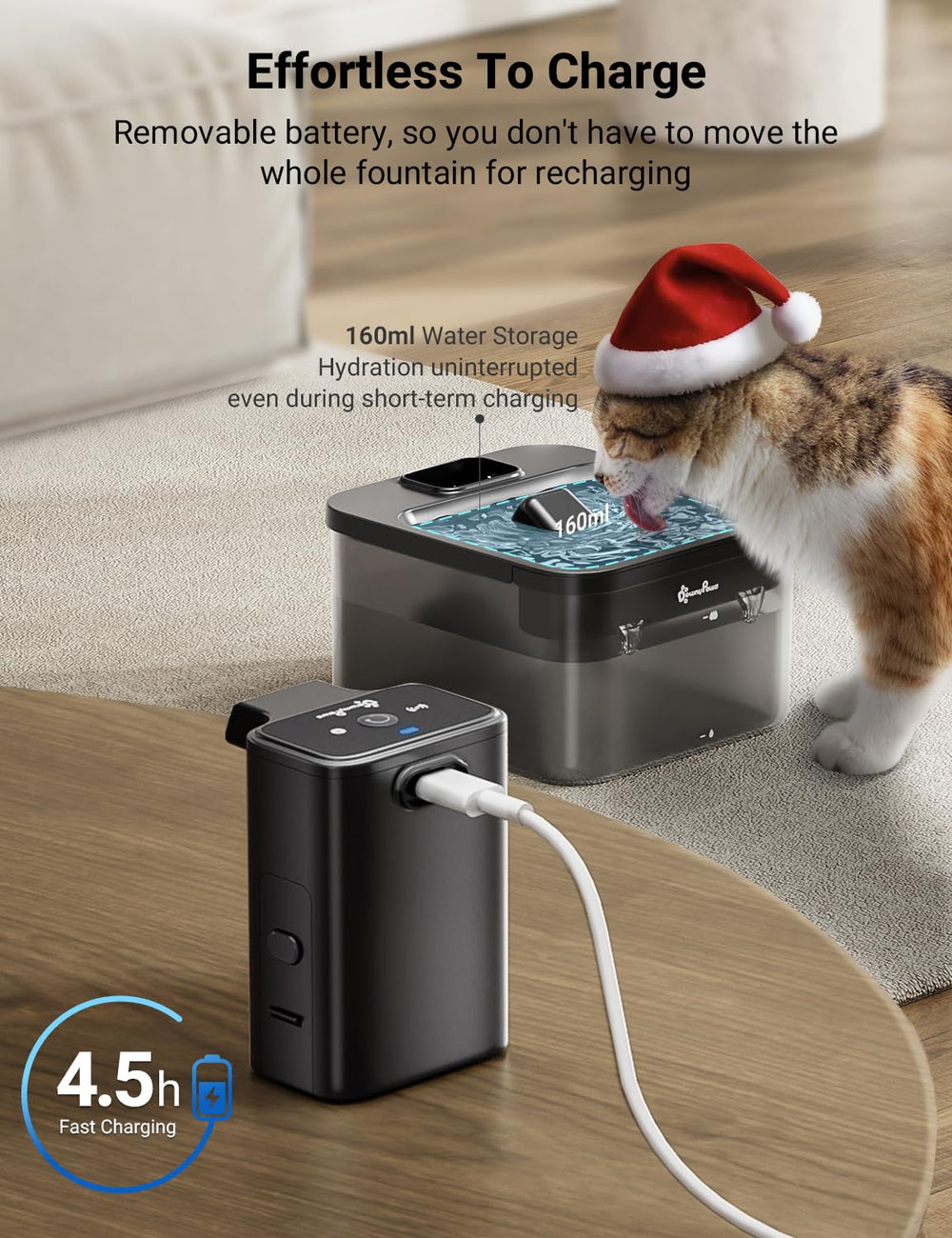 DownyPaws quiet water flow indicates low-noise operation
