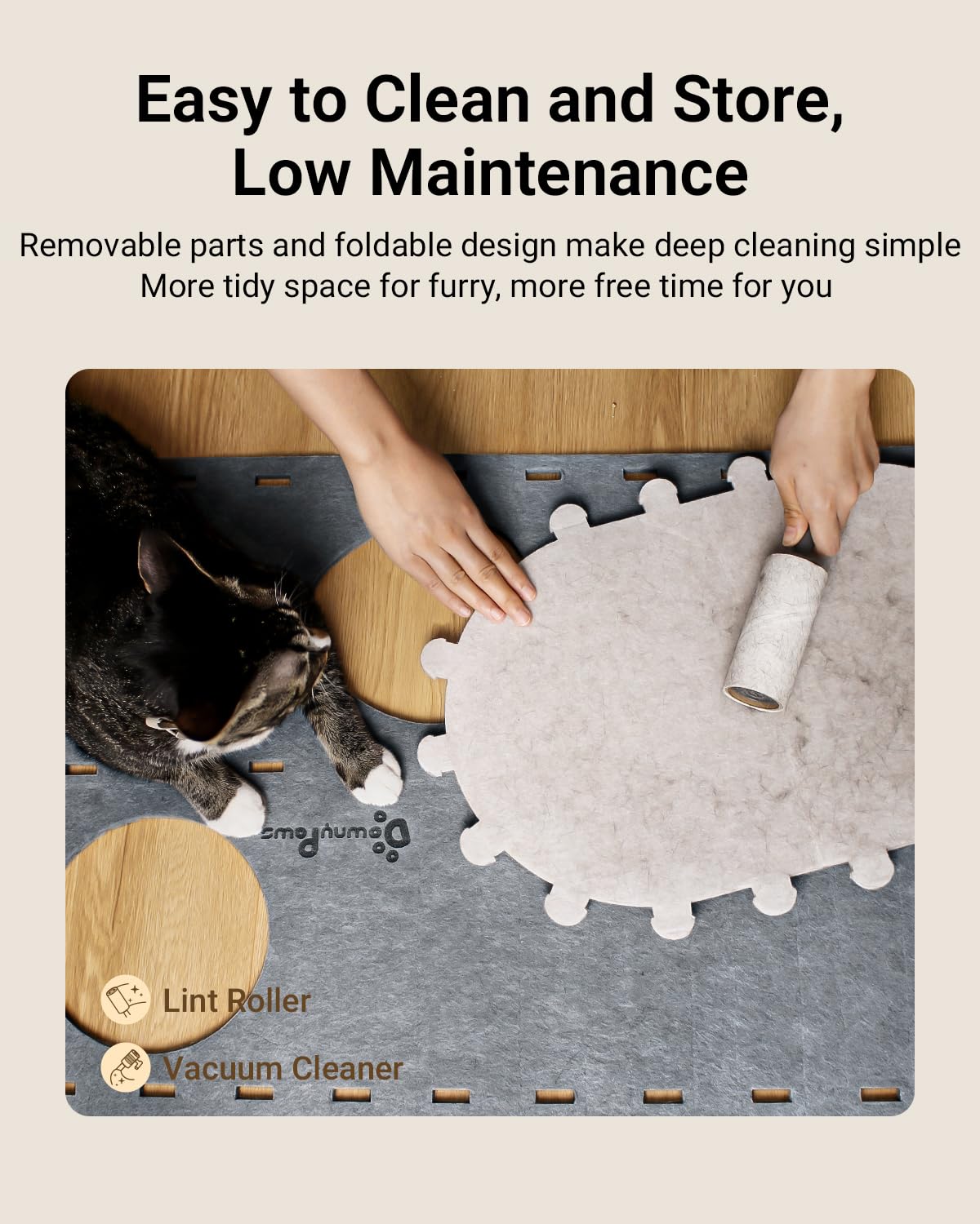 DownyPaws multicat haven demonstrates harmonious space for several cats.