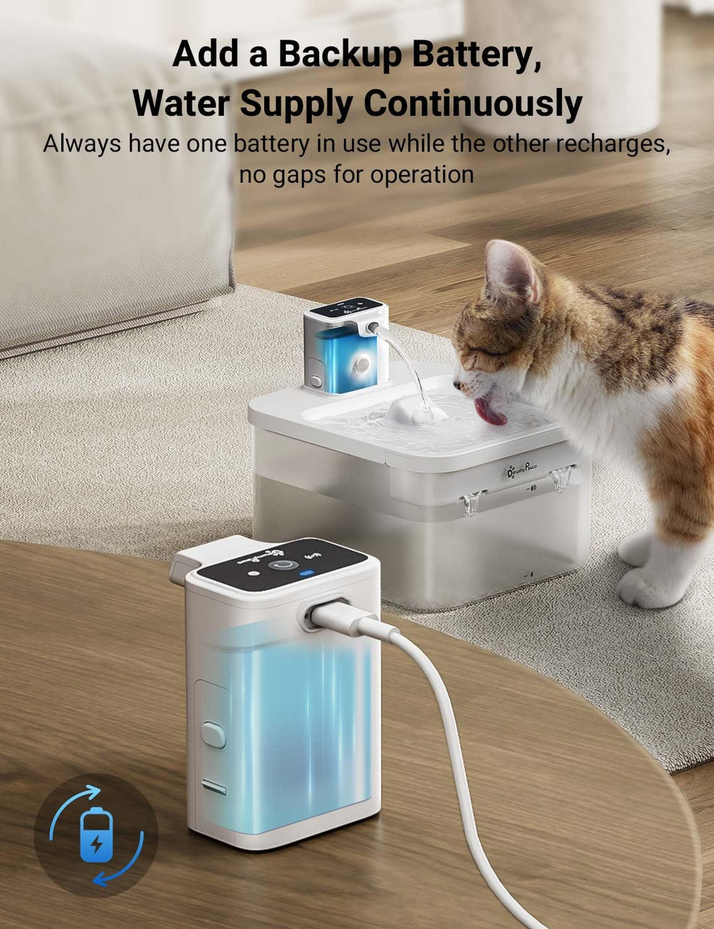 DownyPaws cat water fountain DPWFP6 battery compartment for secure operation