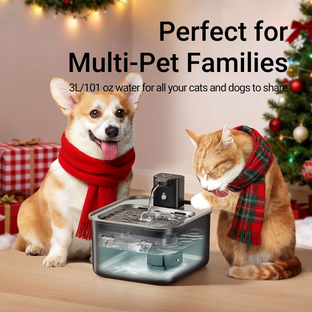 DownyPaws cat water fountain purification system shows five-stage filtration for clean water.