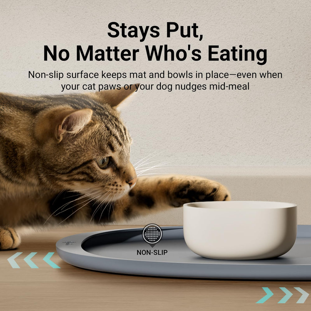 DownyPaws dishwasher-safe cat mat simplifies after-meal cleaning.