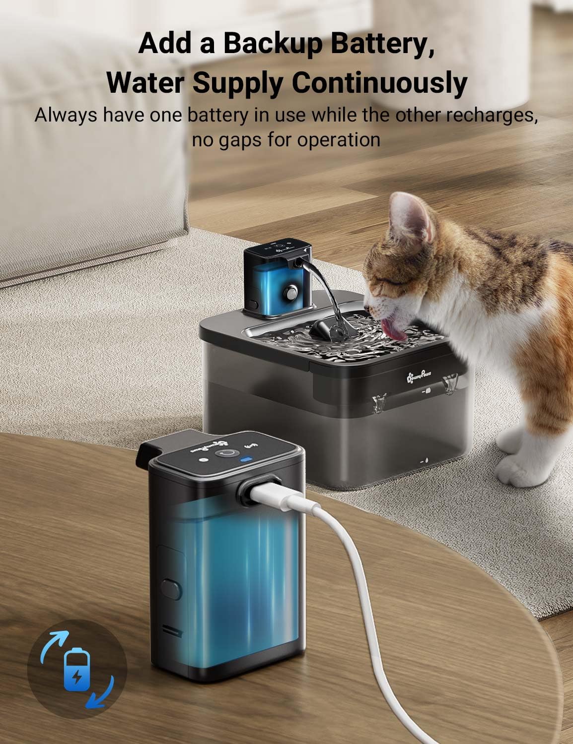 DownyPaws DPWFP6 battery compartment installed on a cat fountain
