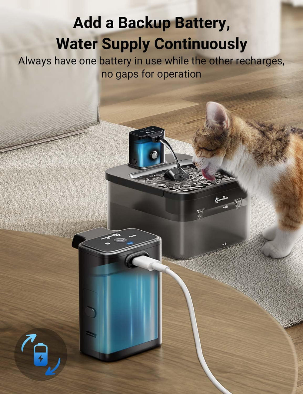 DownyPaws DPWFP6 battery compartment installed on a cat fountain