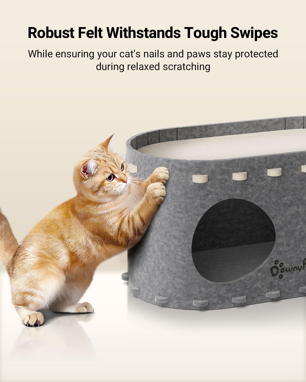 DownyPaws PeekaPurr cat house inside view highlights roomy interior.