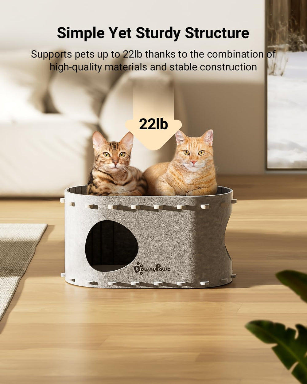 DownyPaws PeekaPurr cat house second level offers elevated observation.