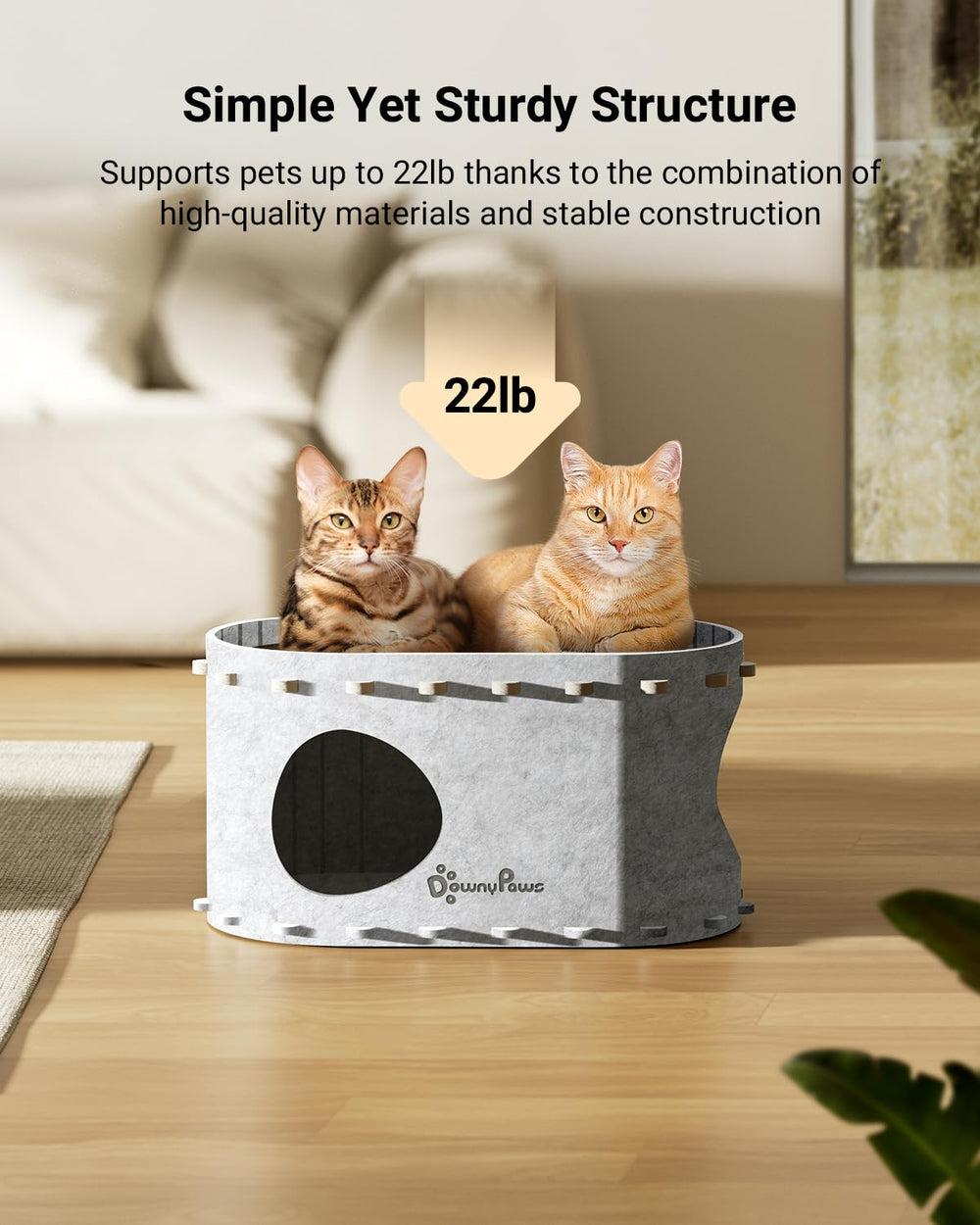 DownyPaws PeekaPurr compact dimensions fit small spaces without sacrificing room for cats.