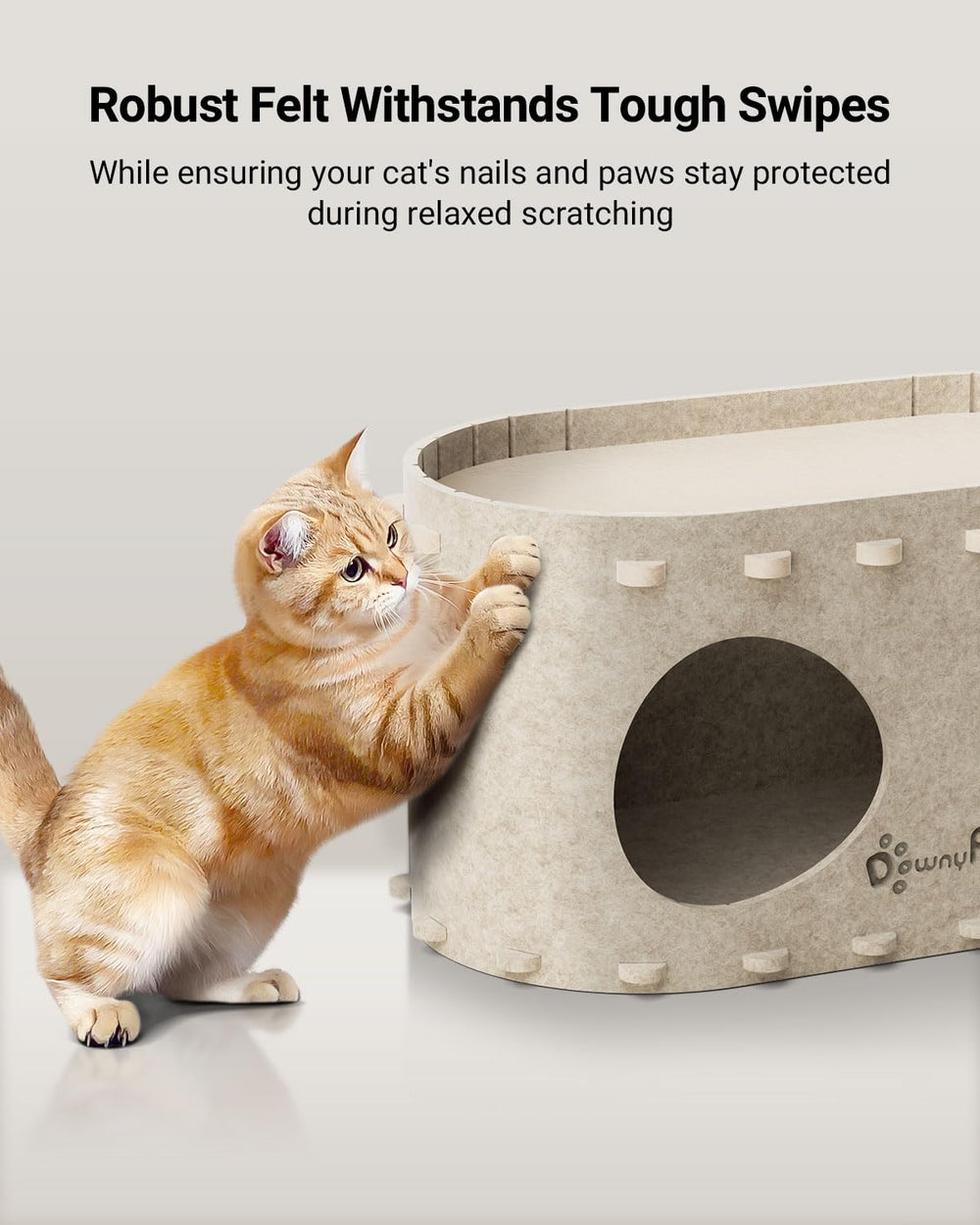 DownyPaws PeekaPurr dual-level design supports multi-cat play and supervision.