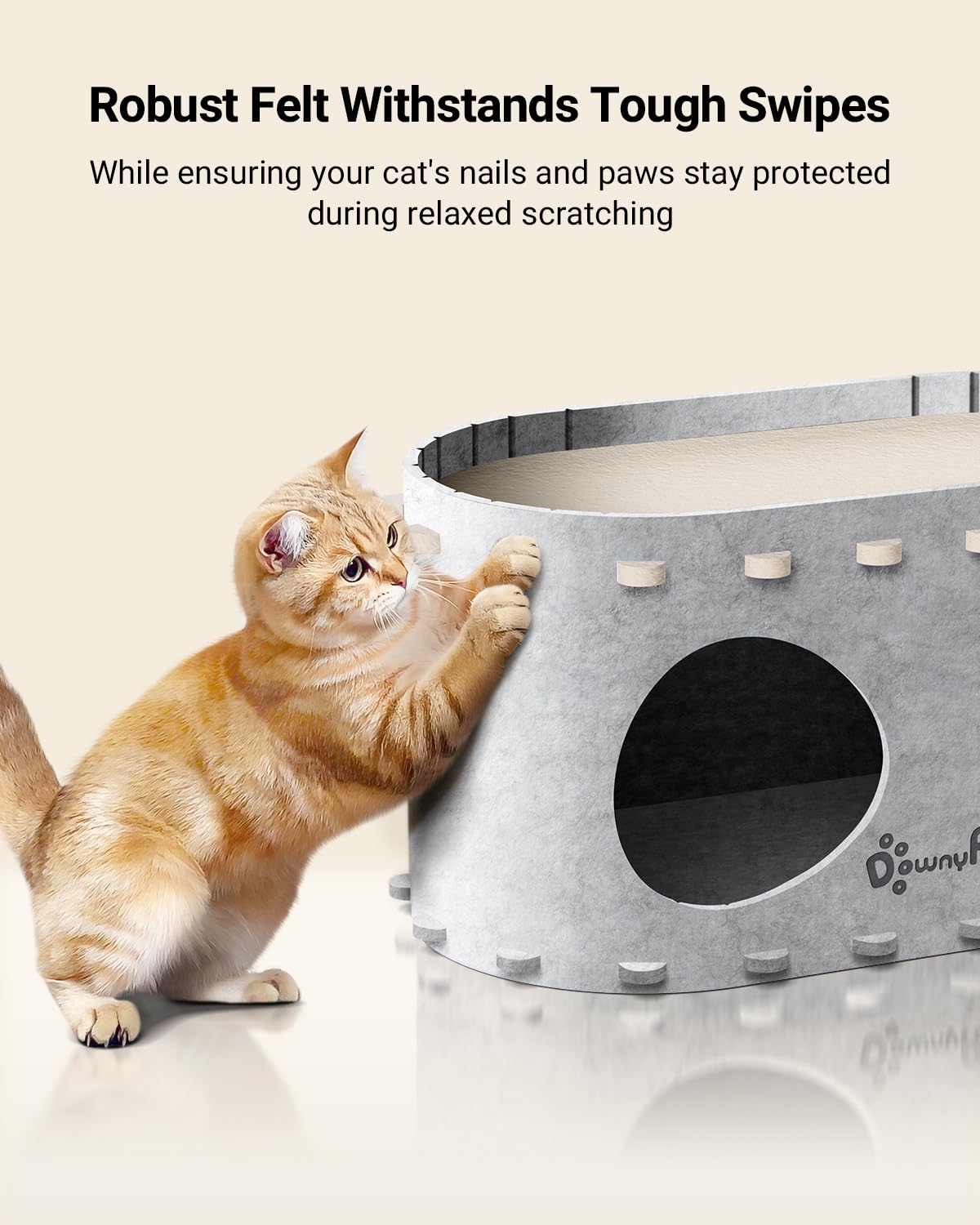 DownyPaws PeekaPurr sturdy structure supports playful cat activity up to 22 lbs.