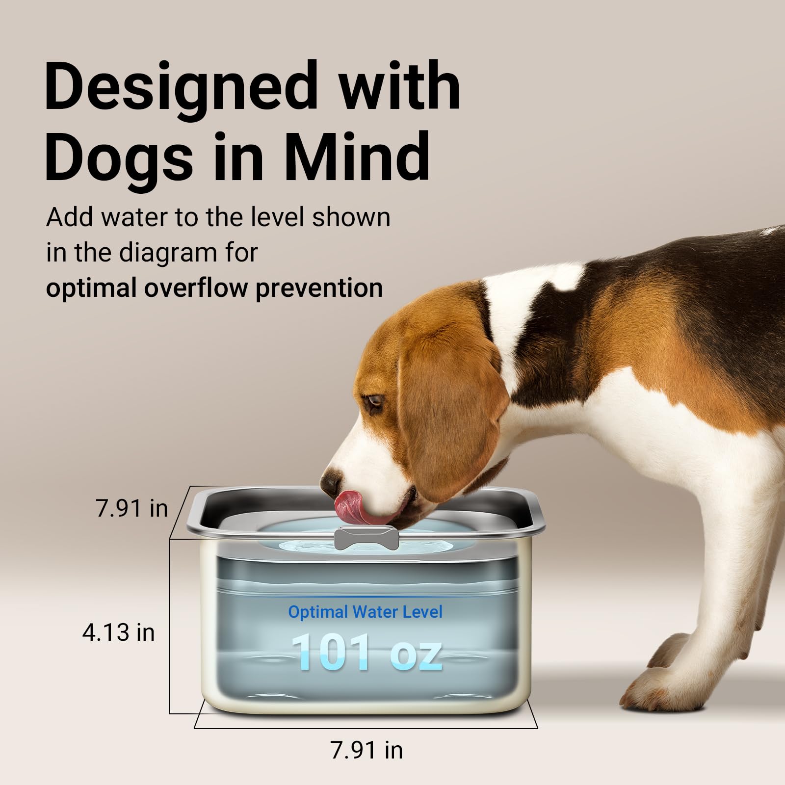 DownyPaws stainless steel bowl is rust-resistant and easy to clean