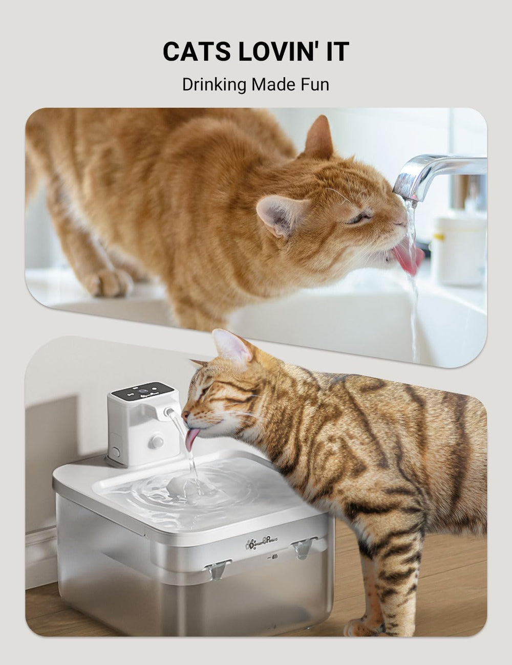 DownyPaws five-stage filtration close-up highlighting filtration system