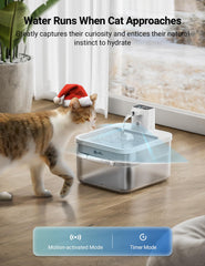 DownyPaws water fountain motion sensor mode activates as cat approaches, encouraging drinking
