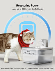 DownyPaws fountain in timed mode showing regular water flow