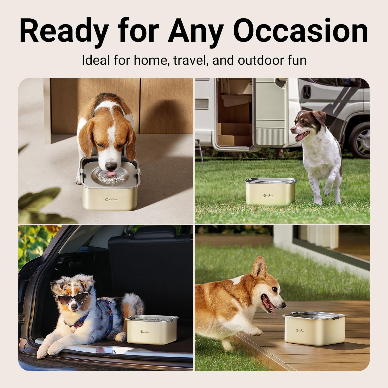 DownyPaws wide 7.9-inch surface provides comfortable drinking
