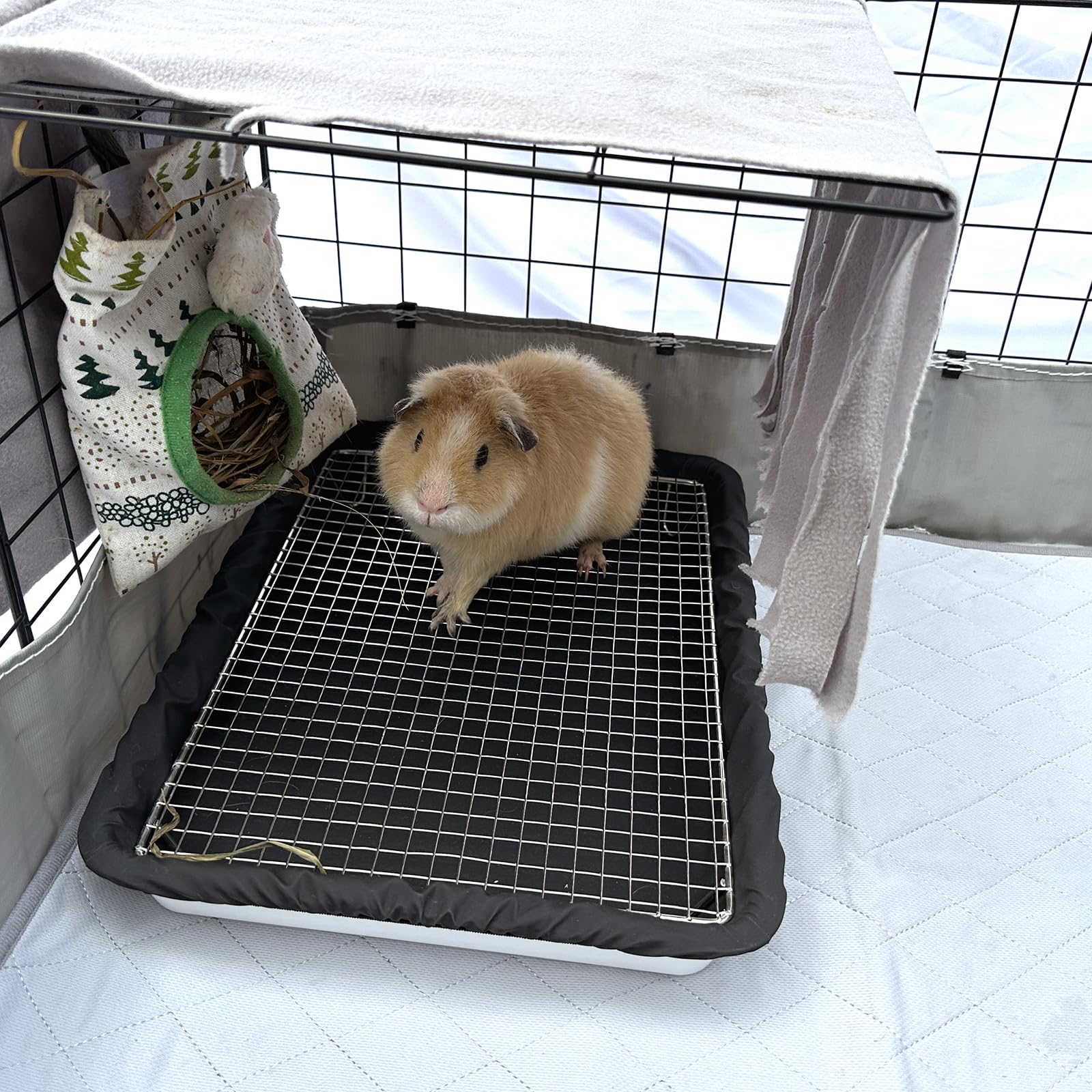 DOZZOPET Guinea Pigs Litter Box assembly view shows easy setup and quick liner swap.