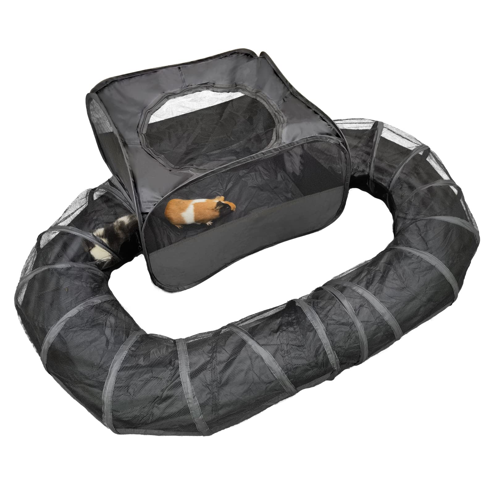 DOZZOPET Guinea-pigs playpen with tunnel shows spacious exercise space for small pets.