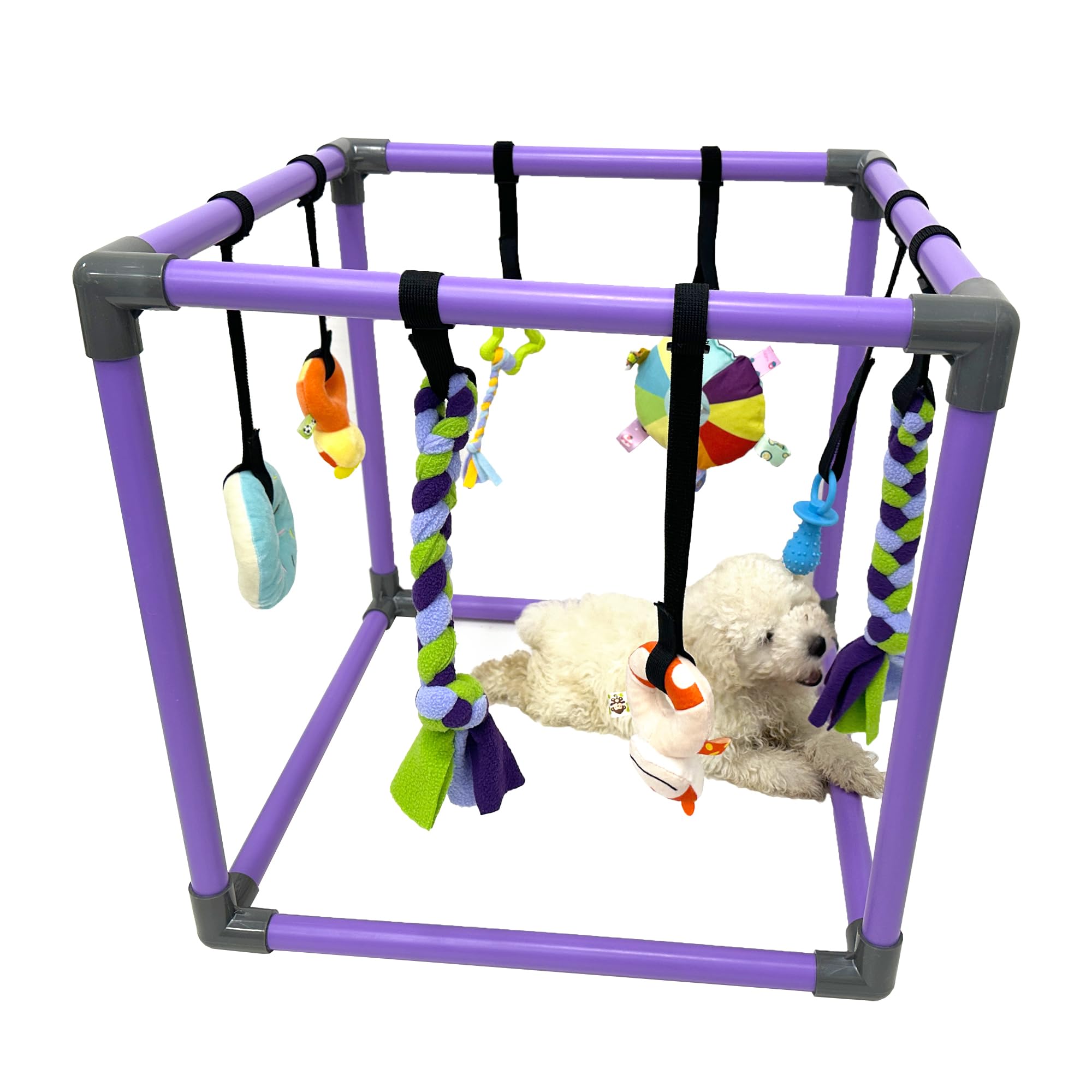 DOZZOPET Puppy Play Gym frame with durable PVC for safe indoor puppy fun.
