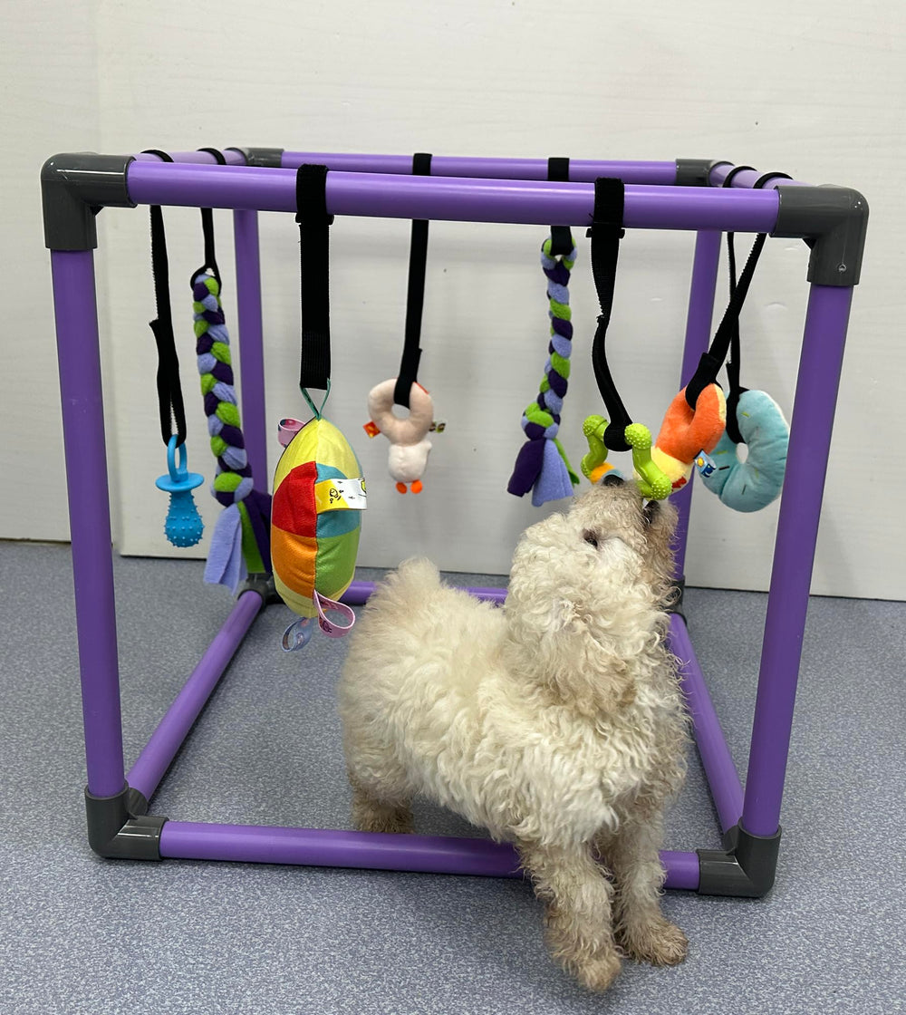 DOZZOPET Puppy Play Gym multisensory toys delivering varied textures and sounds during play.