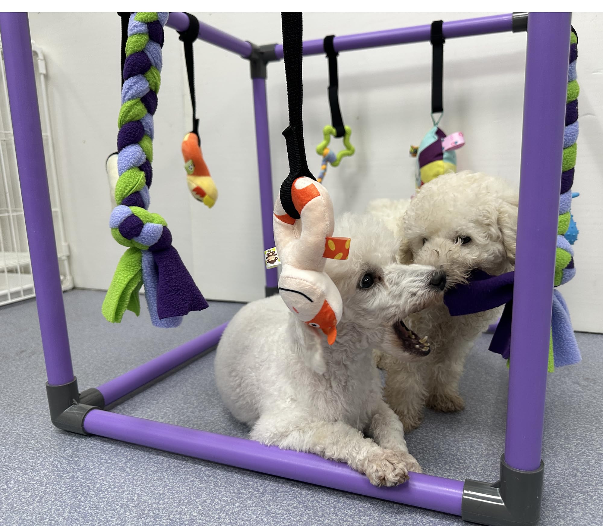 DOZZOPET Puppy Play Gym no-tool assembly lets you set up in minutes.
