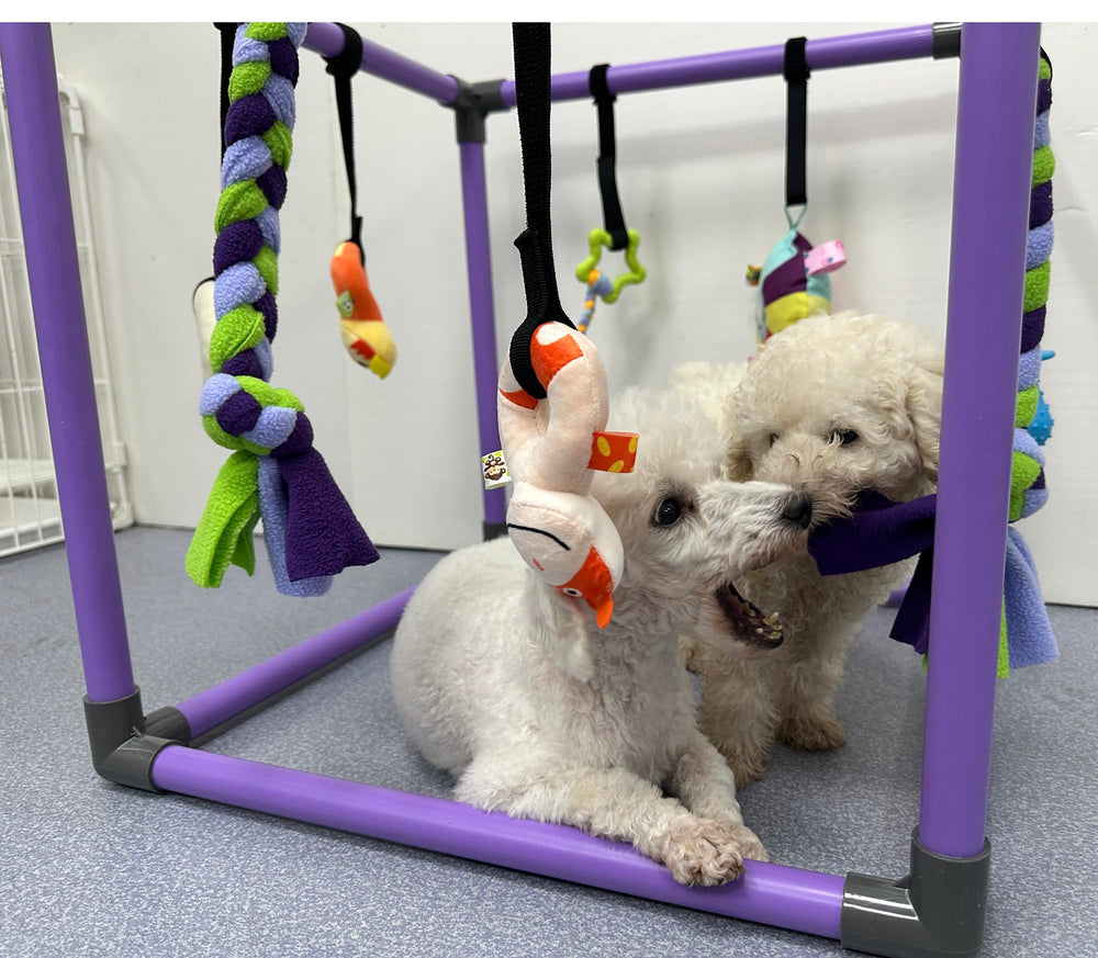 DOZZOPET Puppy Play Gym no-tool assembly lets you set up in minutes.