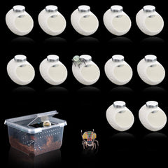 DQITJ silk cocoons with magnets packaged for easy spider habitat setup