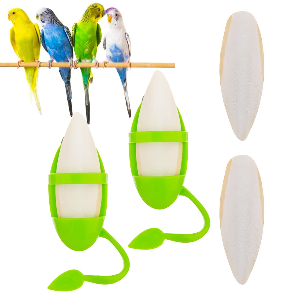 DQITJ 2pcs cuttlebone holder package shown for easy cage setup and feeding