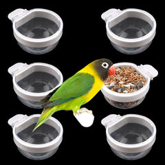 DQITJ 6-pack bird feeder pack for bulk refills and tidy feeding.