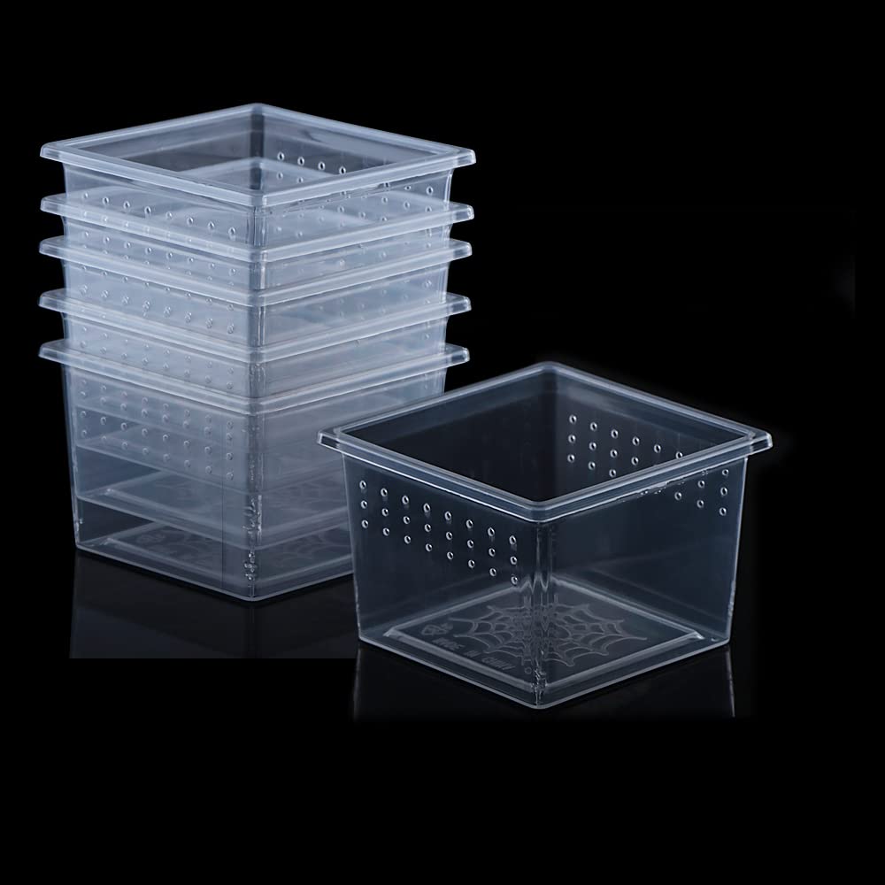 DQITJ acrylic breeding box side view highlights sturdy construction