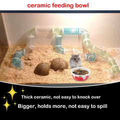DQITJ anti-slip-base design keeps bowls steady during feeding.