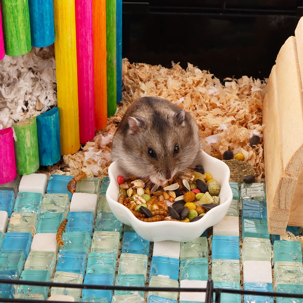 DQITJ ceramic hamster bowl anti-turnover base demonstrates sturdy stability during feeding.